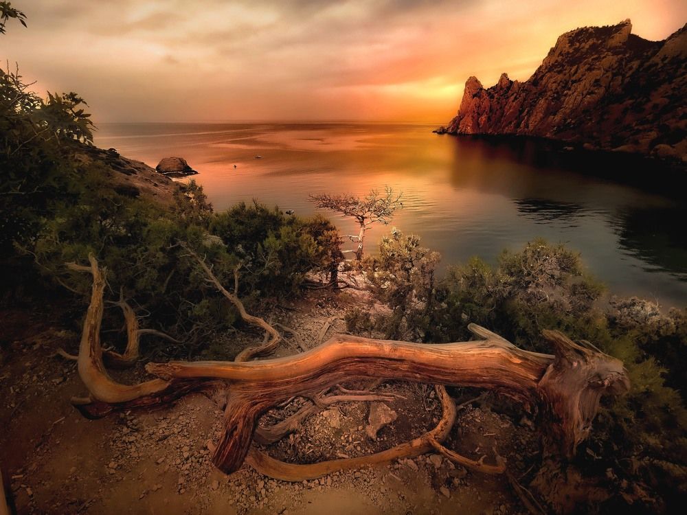 Рай в Новом Свете