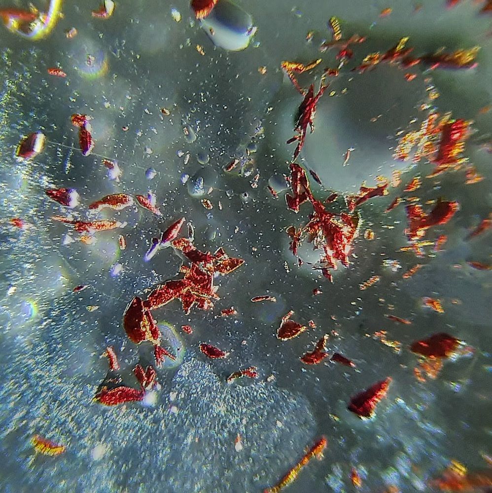 Проба серебра