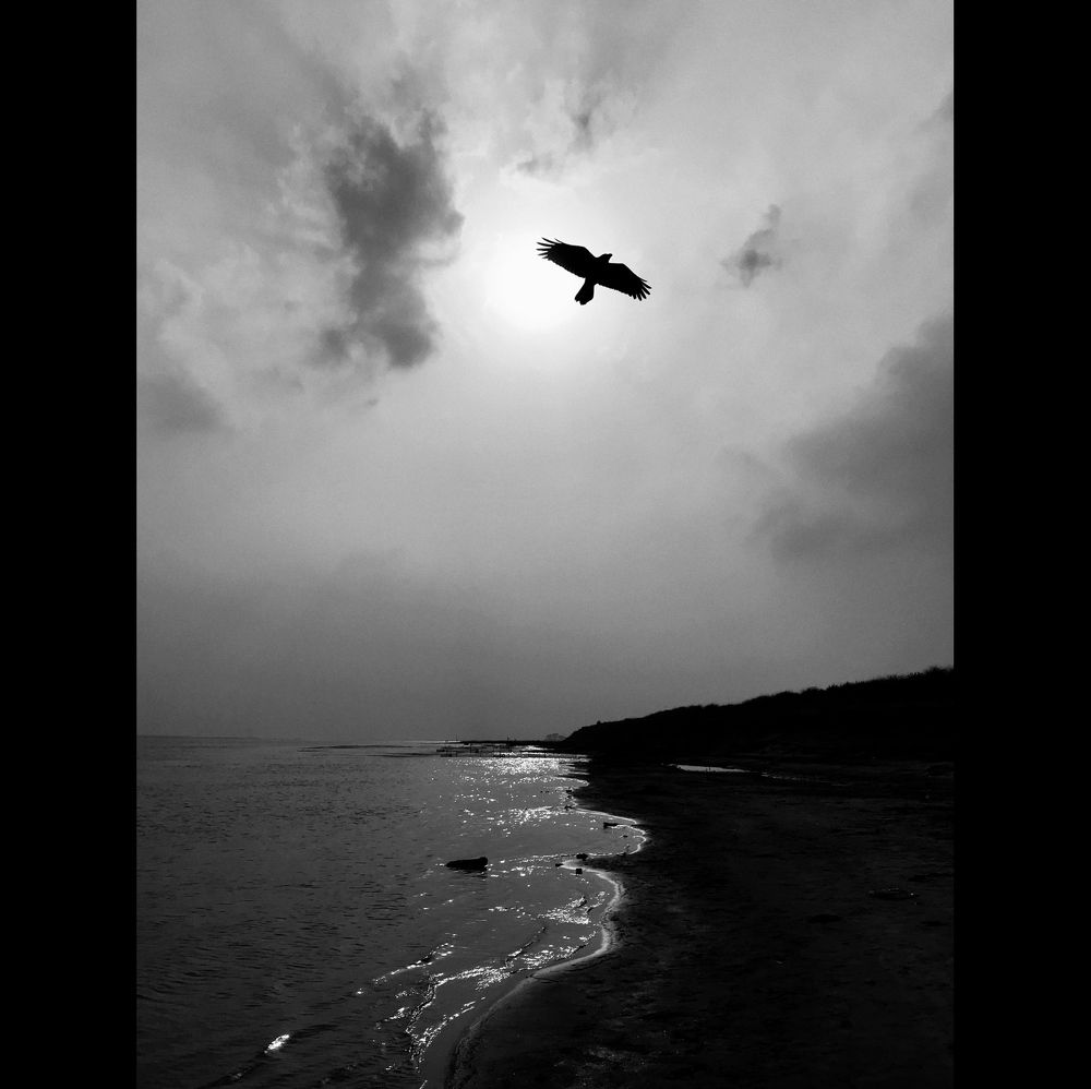 Фотография автора Galib Hasan