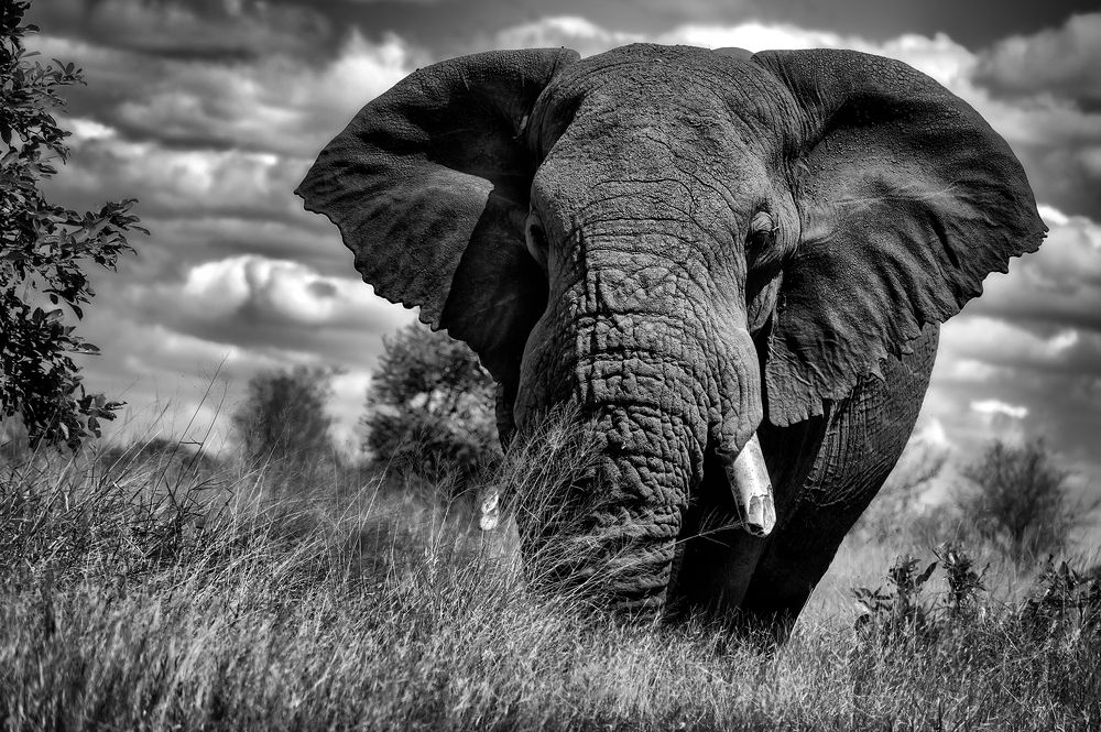 Photograph by Laima Kuriene