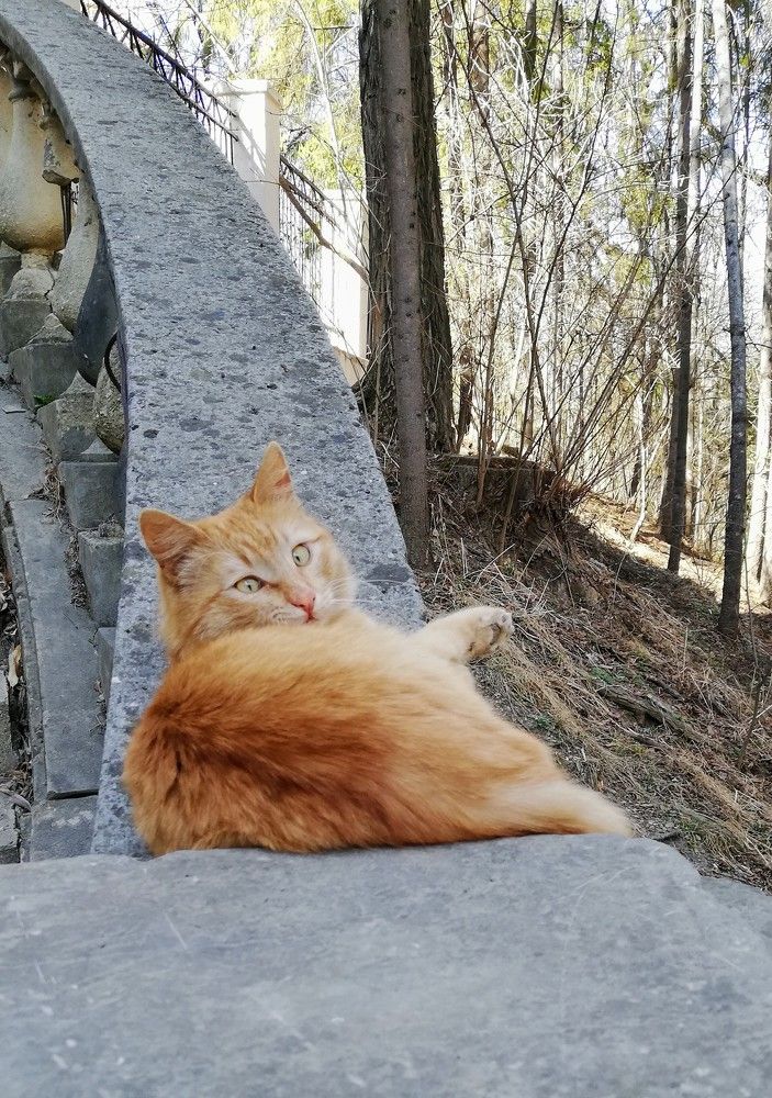 Photograph by Лариса Неудачина