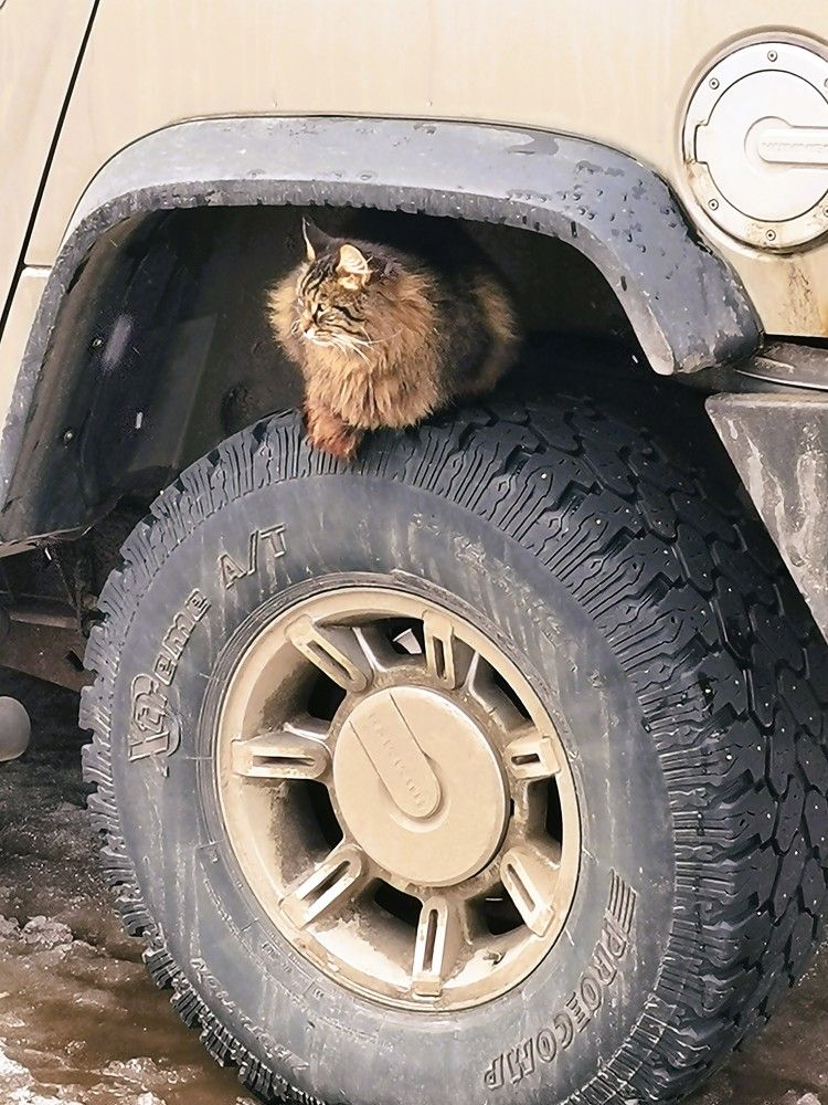 Photograph by Ольга Подчаская