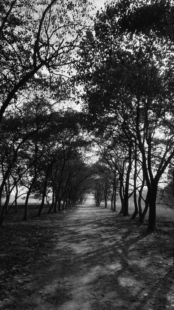 Photo #8982001