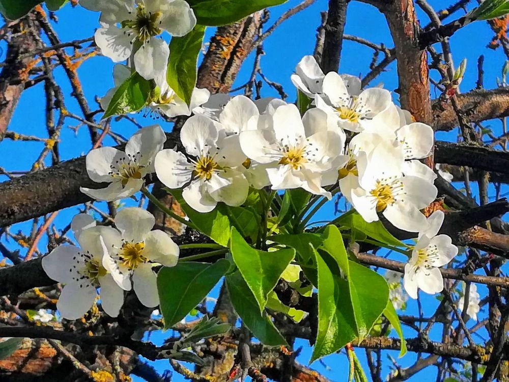 Photograph by Anila Ismailaj