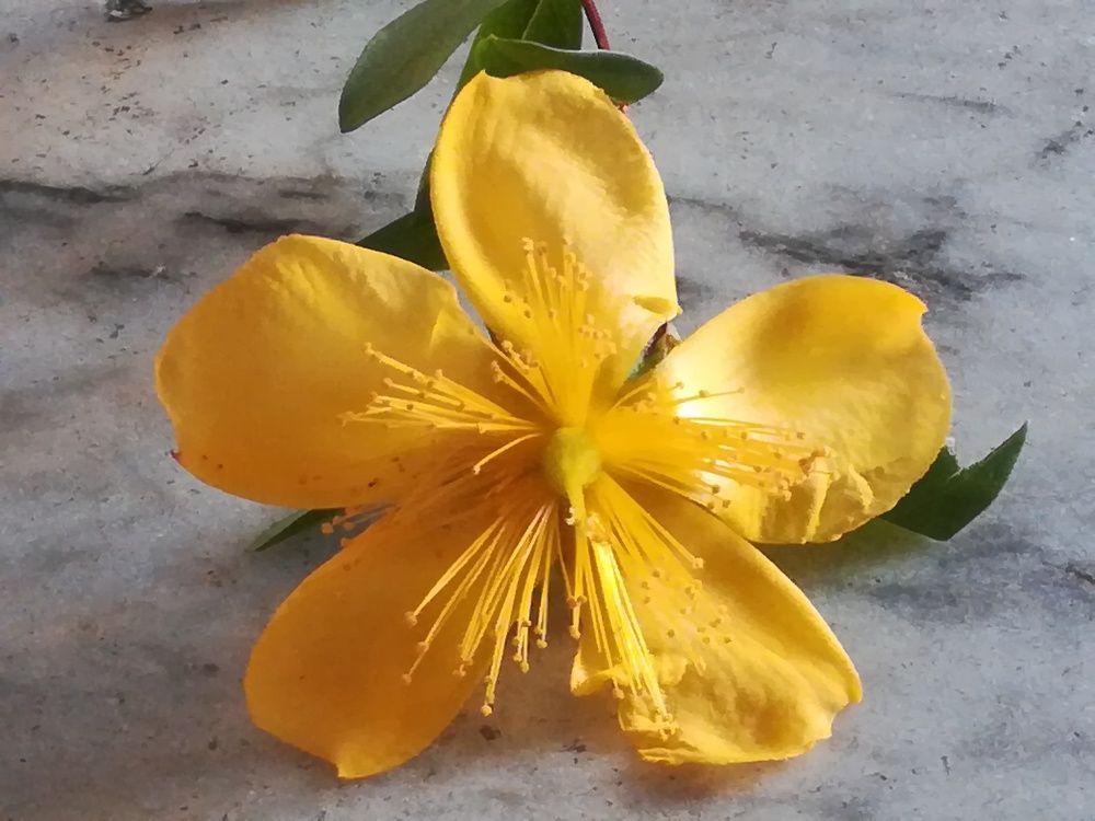 Photograph by Anila Ismailaj