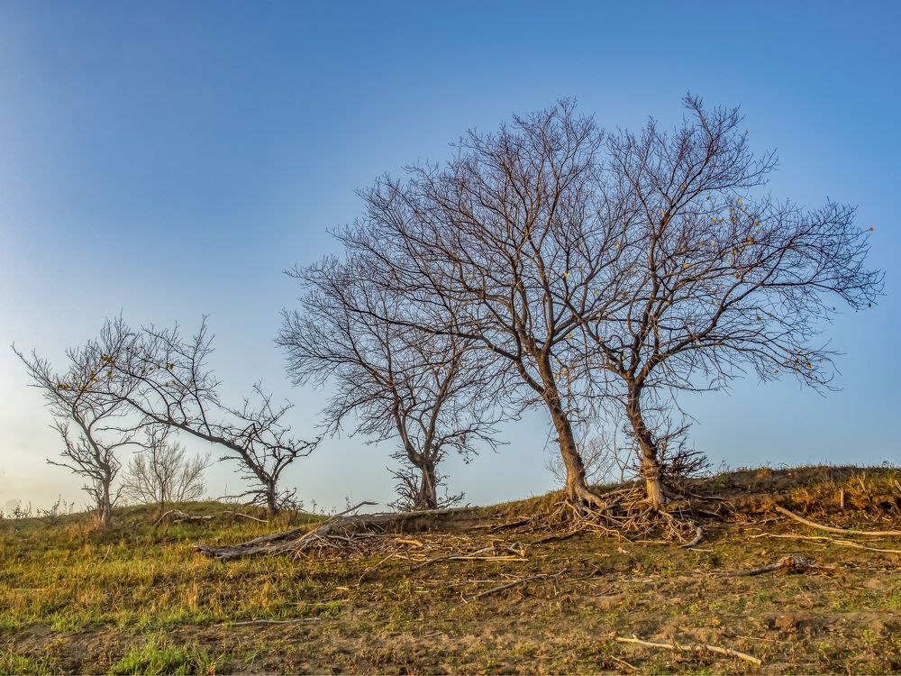 Photograph by Denis Polushin