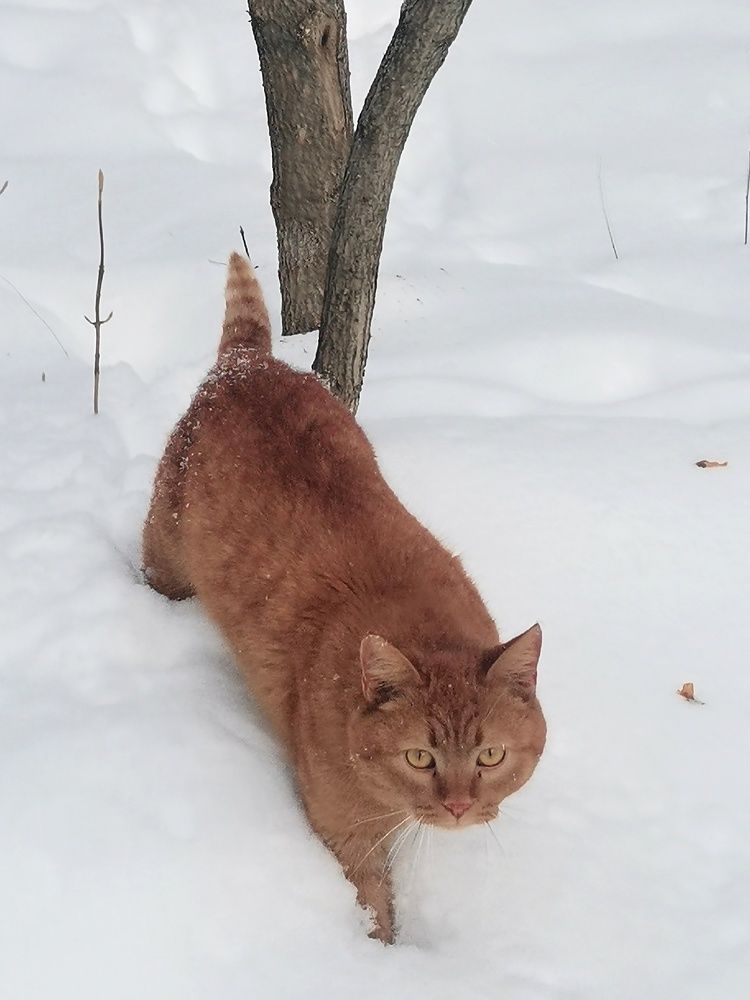 Photograph by Ольга Подчаская