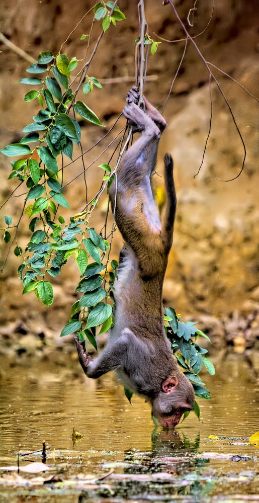 Photograph by Zayed Sanim