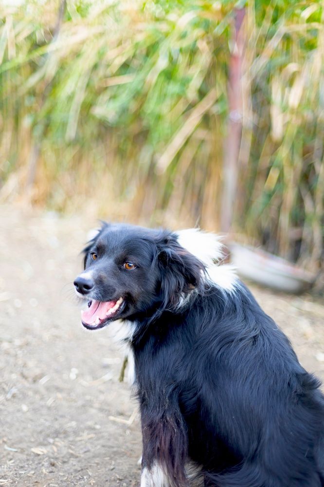 Photograph by Зарема Гаджимагомедова