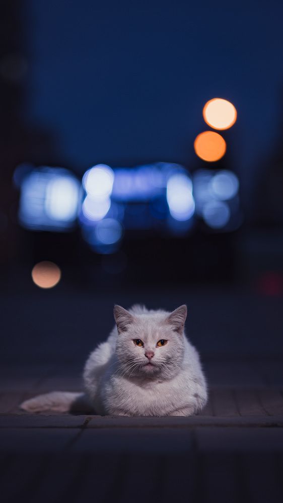 Photograph by Зелемхан Темирбулатов