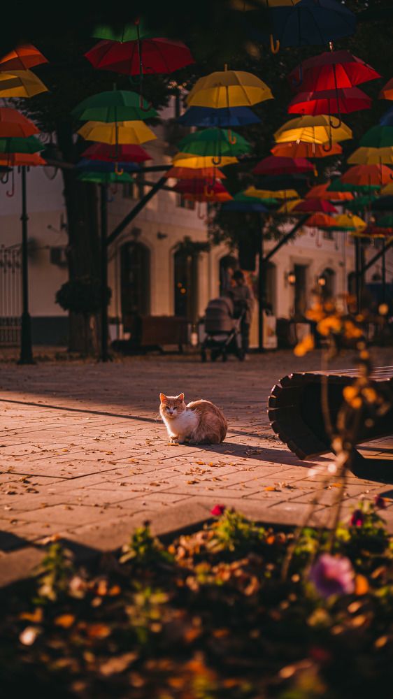 Photograph by Зелемхан Темирбулатов