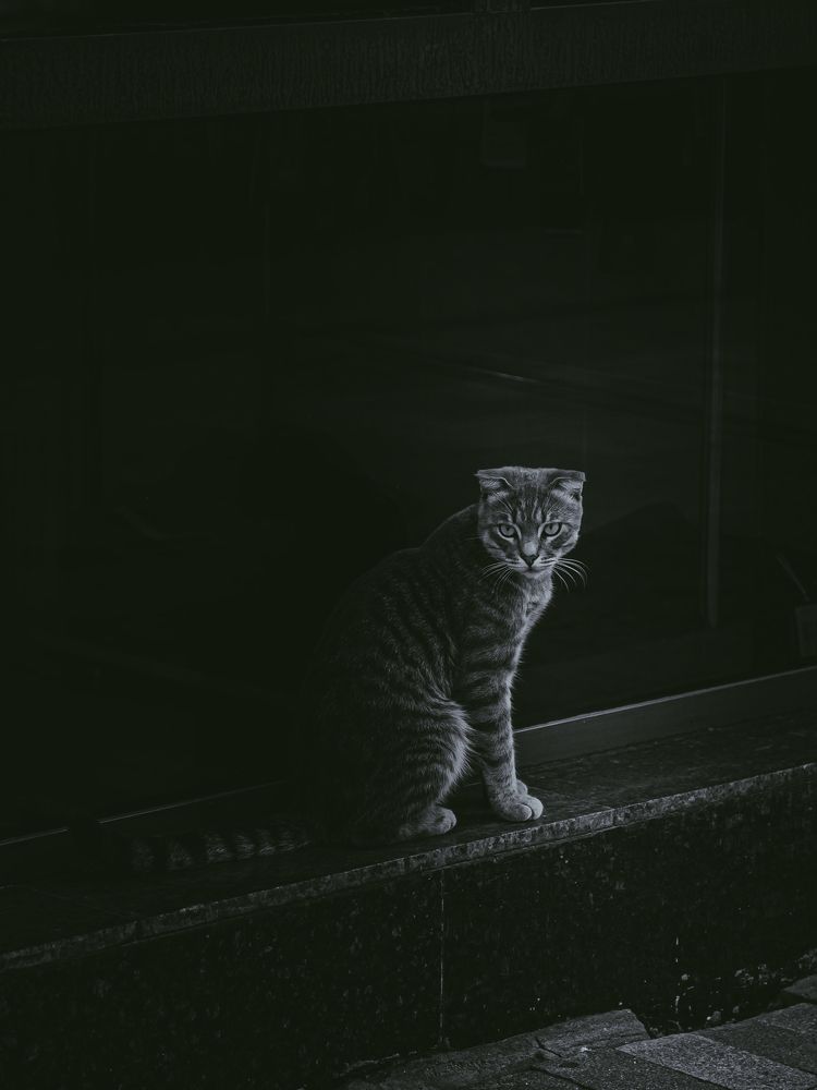 Photograph by Зелемхан Темирбулатов