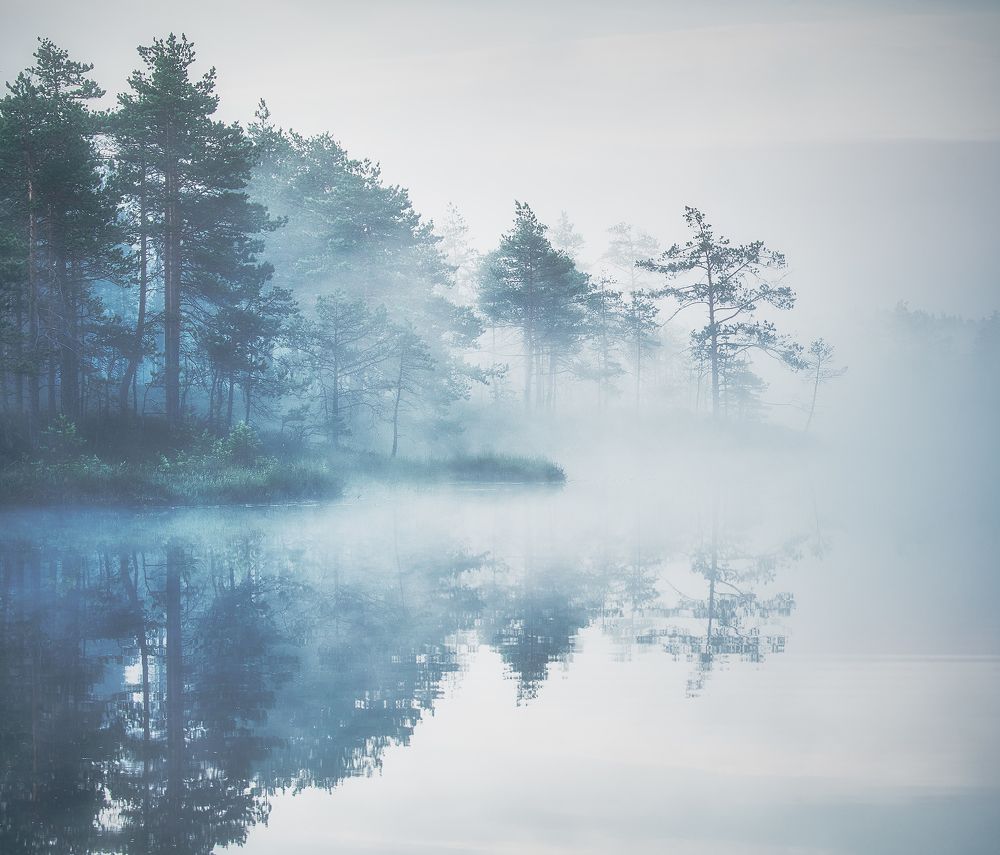 Photograph by Кононов Антон