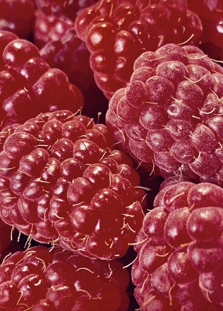 Фотография автора ГУЗАЛИЯ ГАНИЕВА