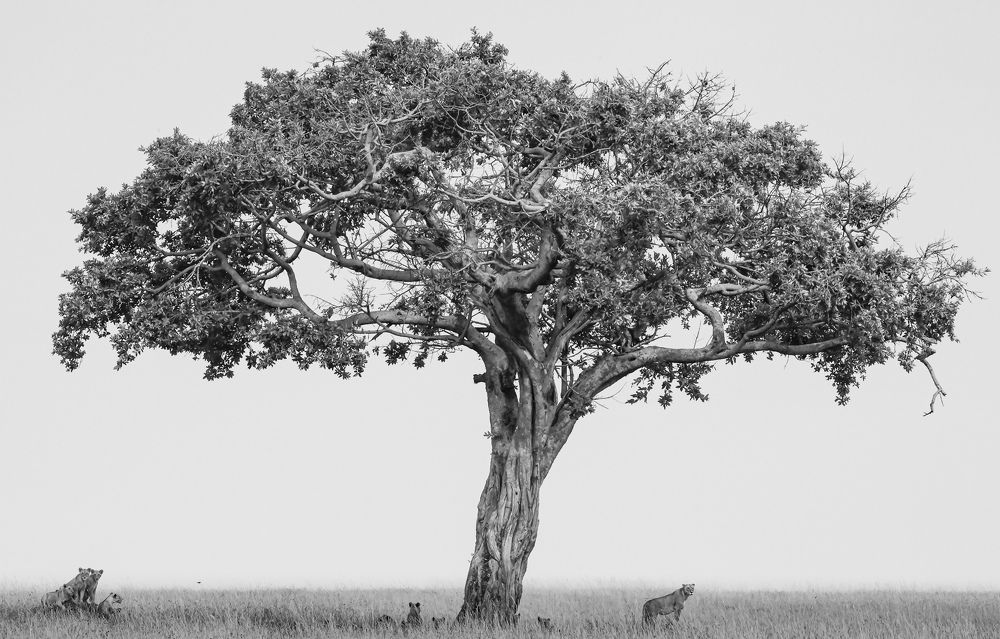 Photograph by Avani Dhanani