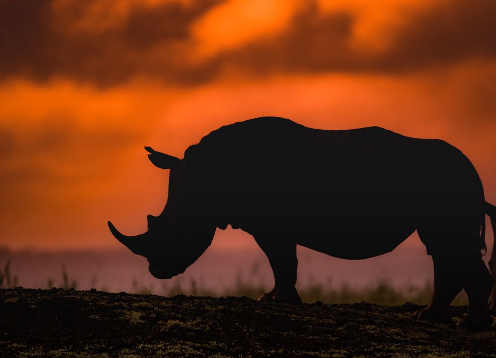 Photograph by Avani Dhanani