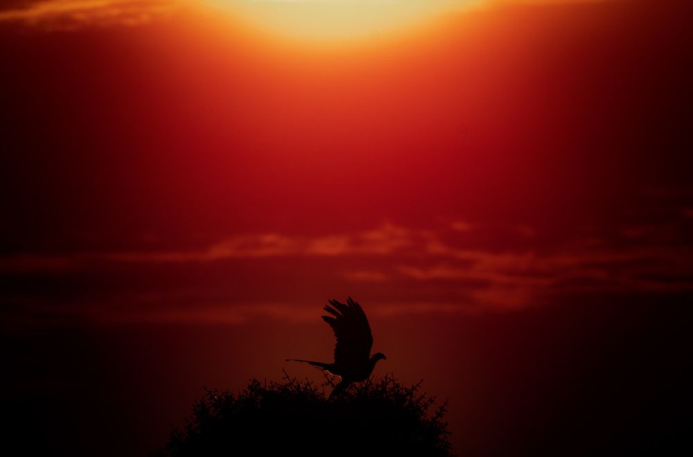 Photograph by Avani Dhanani