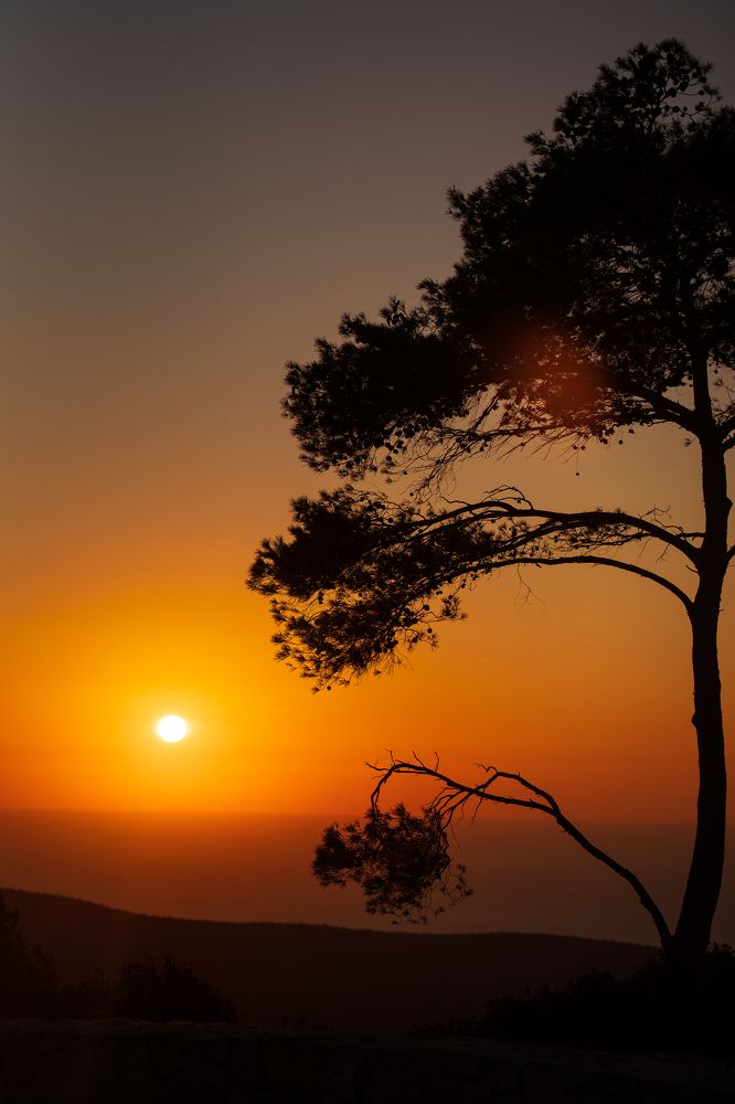 Photograph by Irina Gorbunova