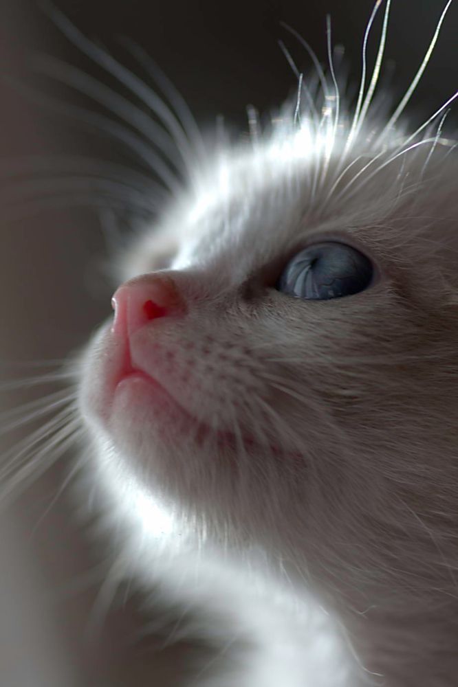 Photograph by Сергей Кириллов