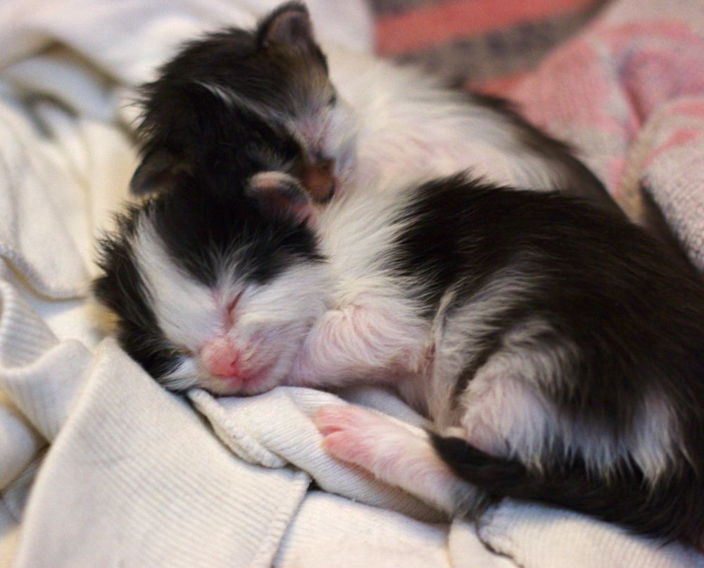 Photograph by Сергей Кириллов