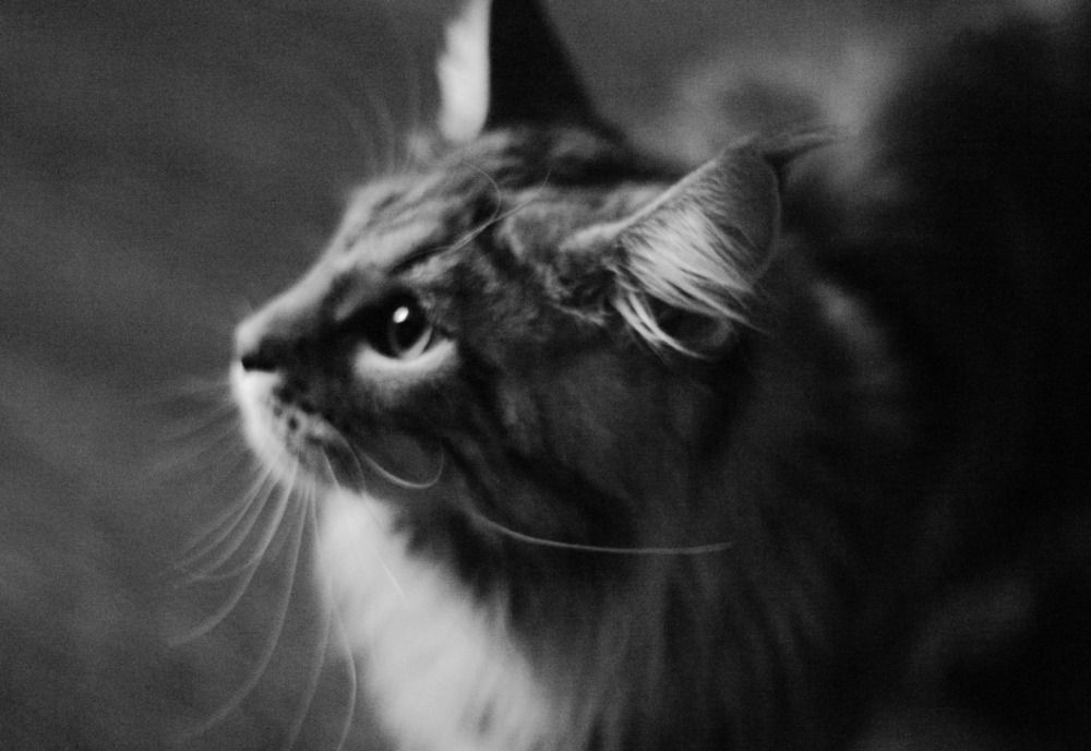 Photograph by Анастасия