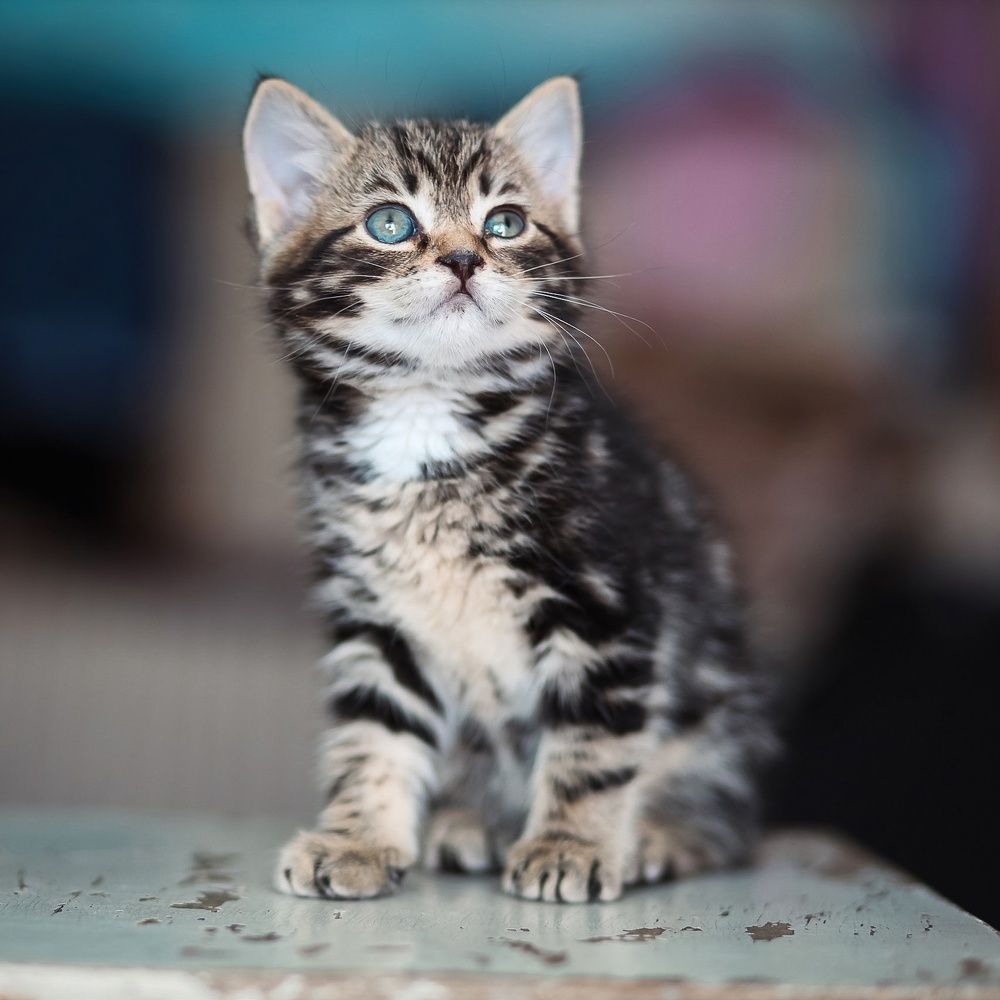 Photograph by Денис Григорьев