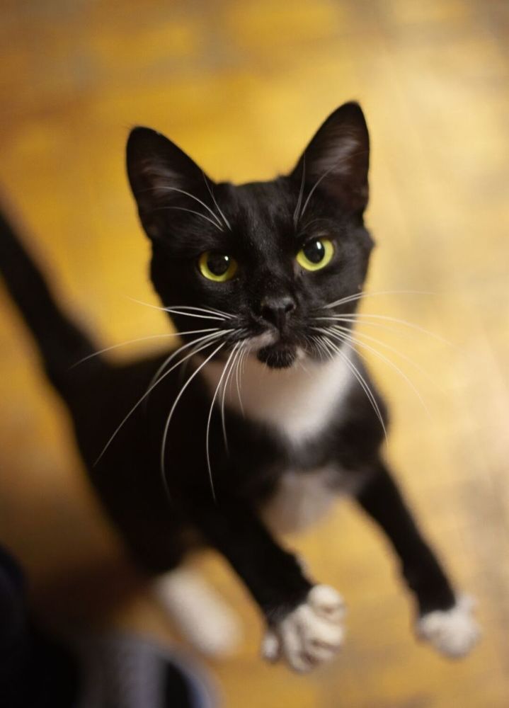 Photograph by Анастасия