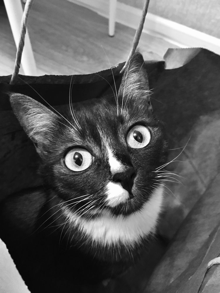 Photograph by Елена Макуха