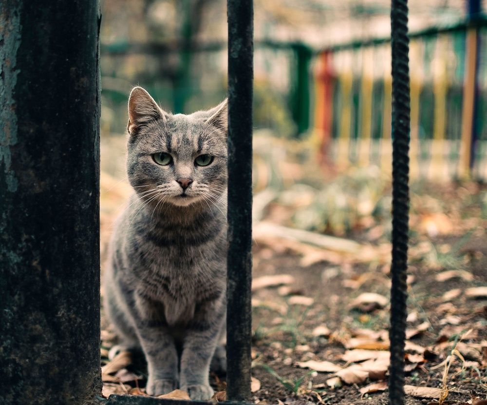 Photograph by Влад Колесов