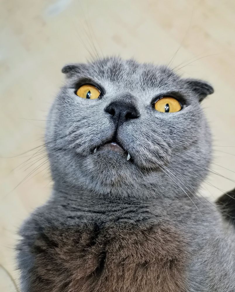 Photograph by Mariya Sinitsina