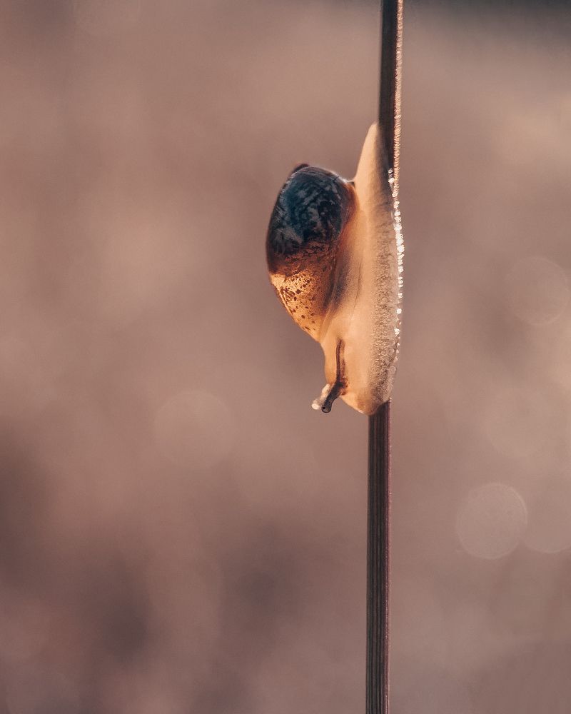 Photograph by Татьяна Гринько