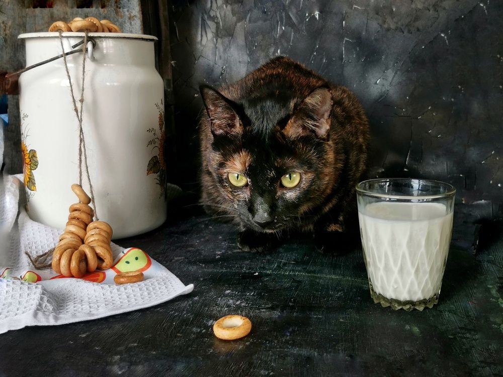 Photograph by Ирина Ветюгова