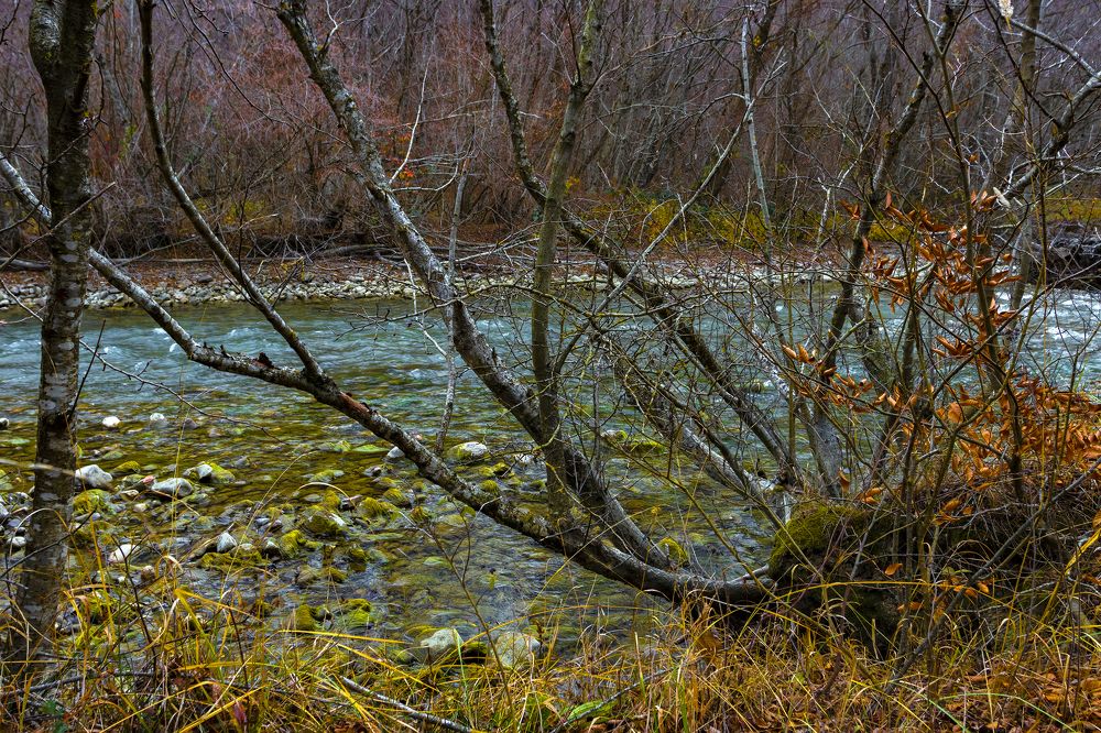 Photograph by Alex Kalpus