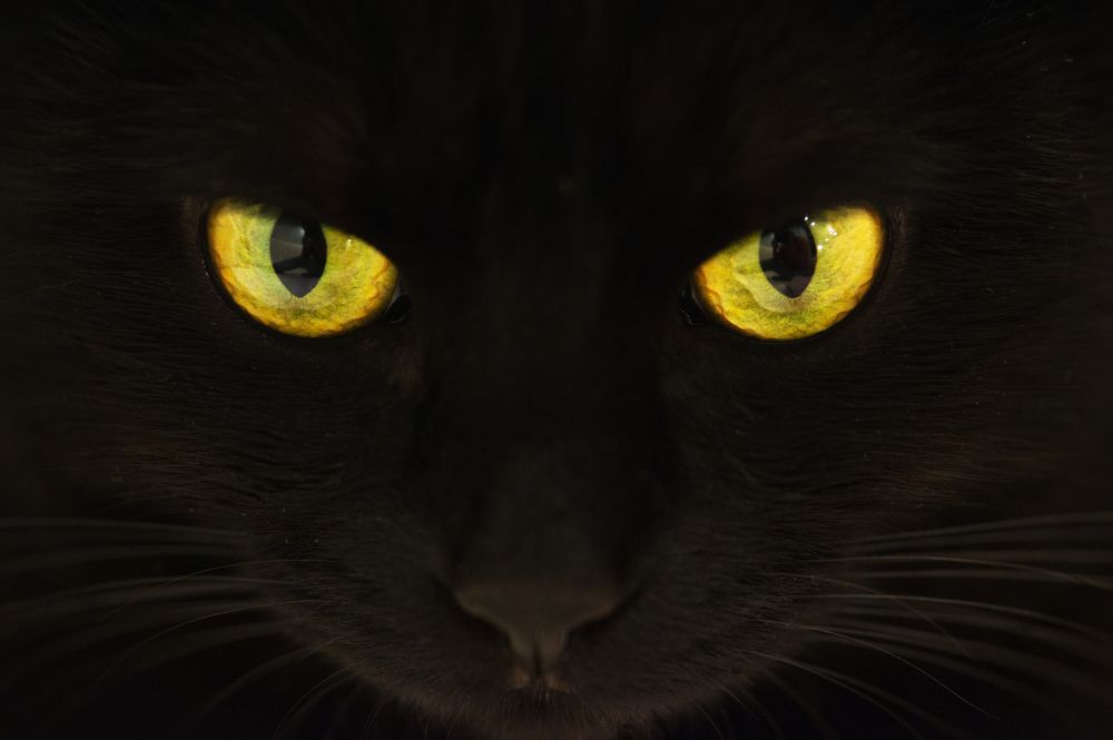 Photograph by Наталья