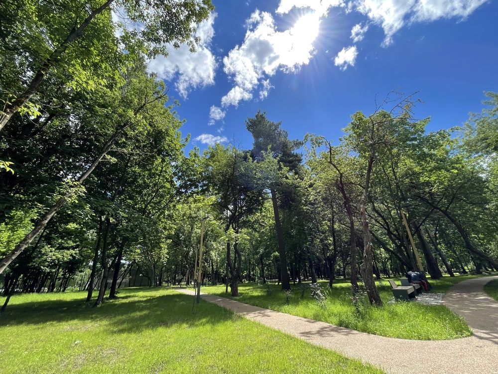 Photograph by Olya Molchanova