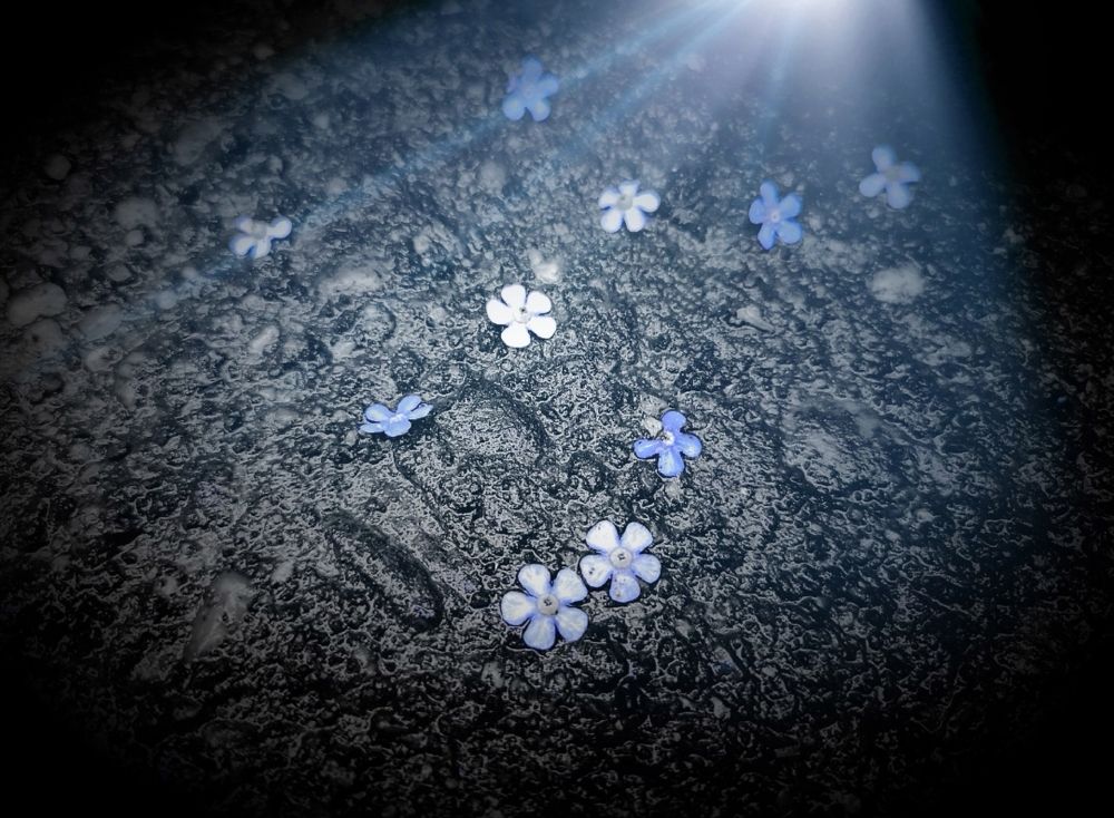 Photograph by Nikolett Mengyi