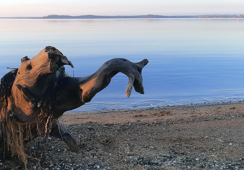 Photograph by Александр Корнелюк
