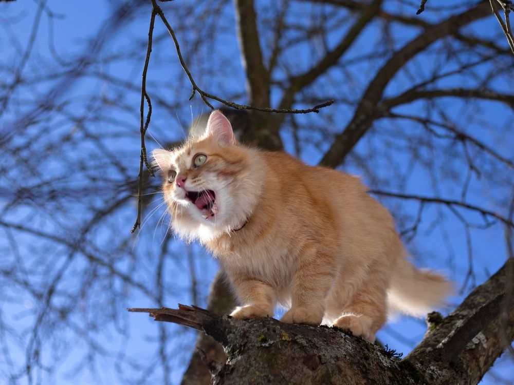 Я вижу - весну!!