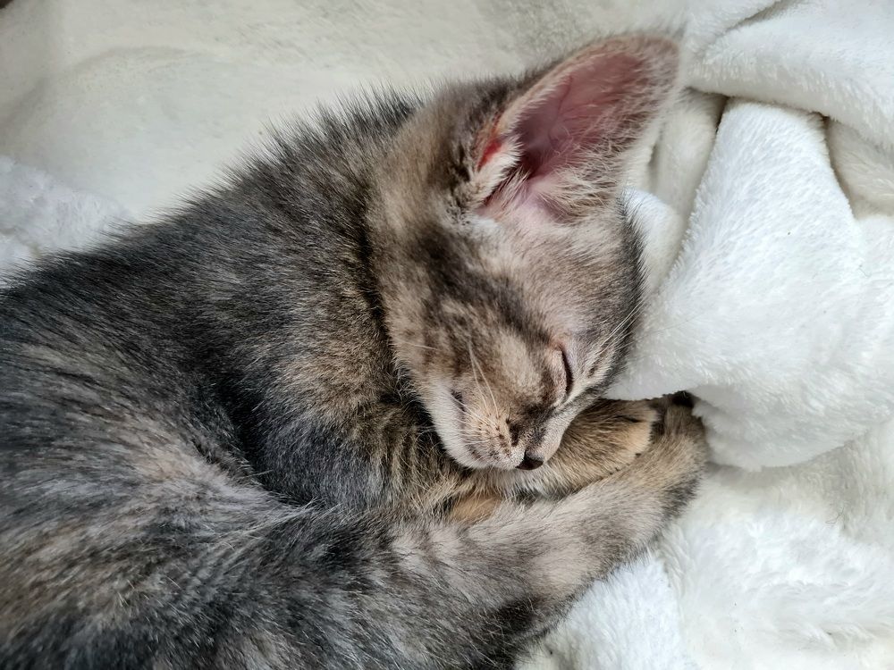 Photograph by Мария Шамина