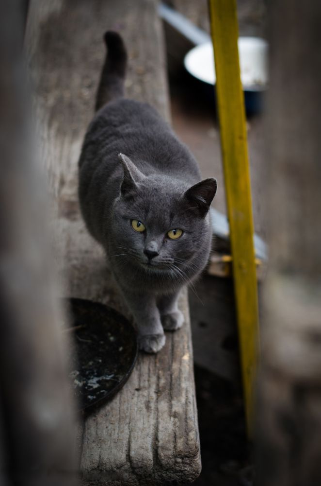 Photograph by Константин Числов