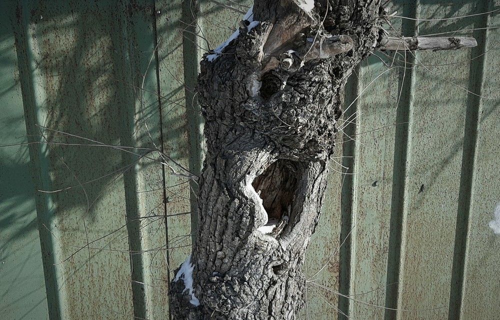 Photograph by Александр Корнелюк