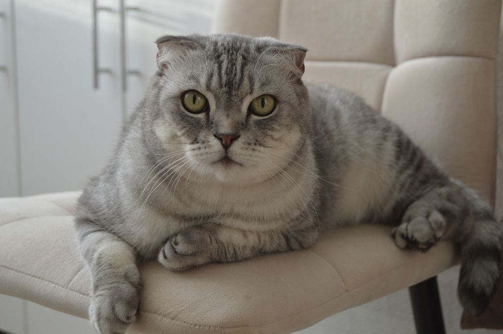 Photograph by Наталья