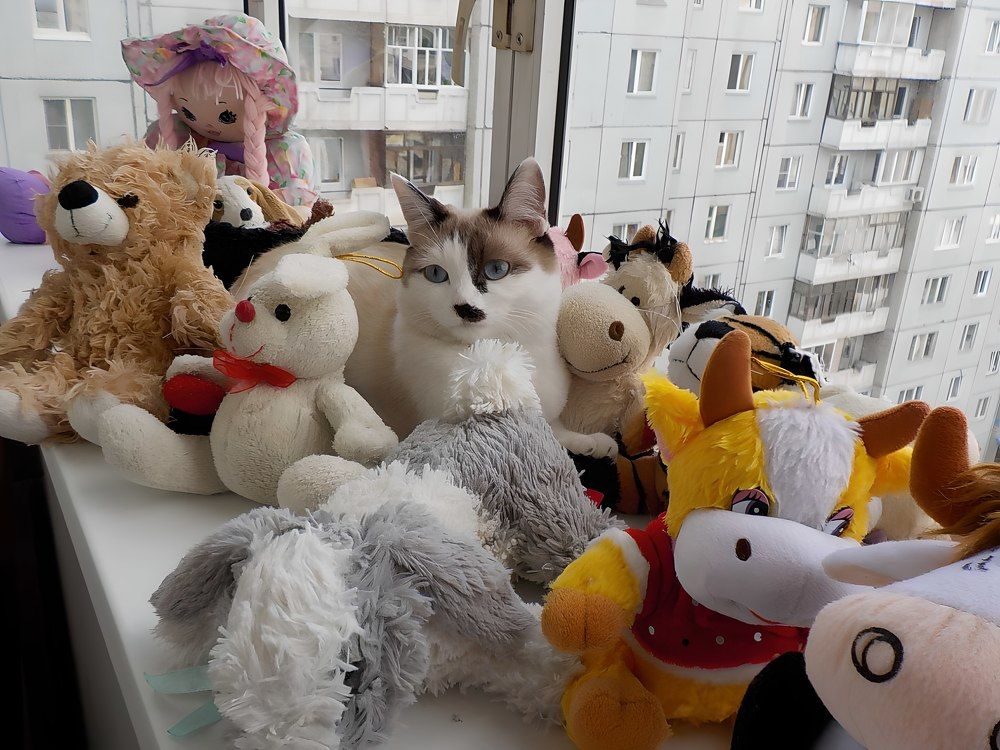 Photograph by Ольга