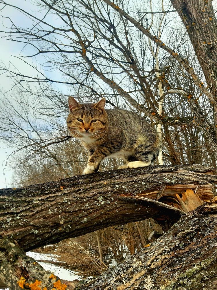 Photograph by Олеся Петрова