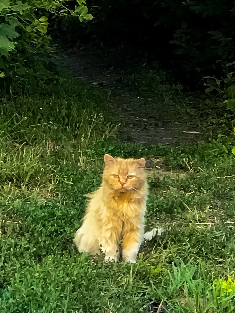 Photograph by Елена Сиушова