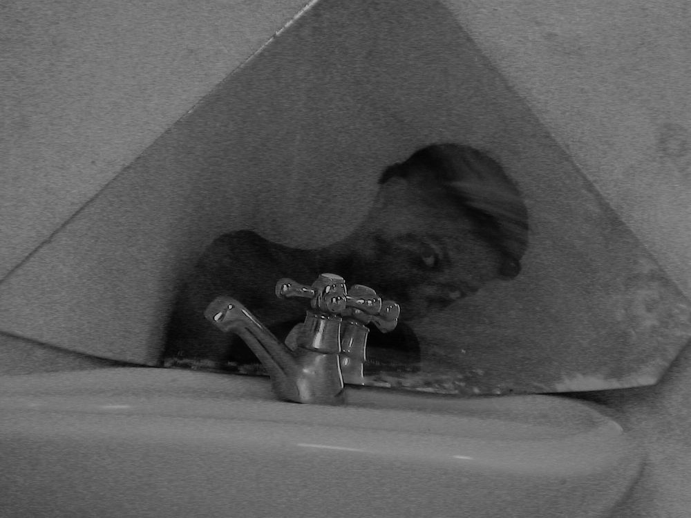 Photograph by João Paradela