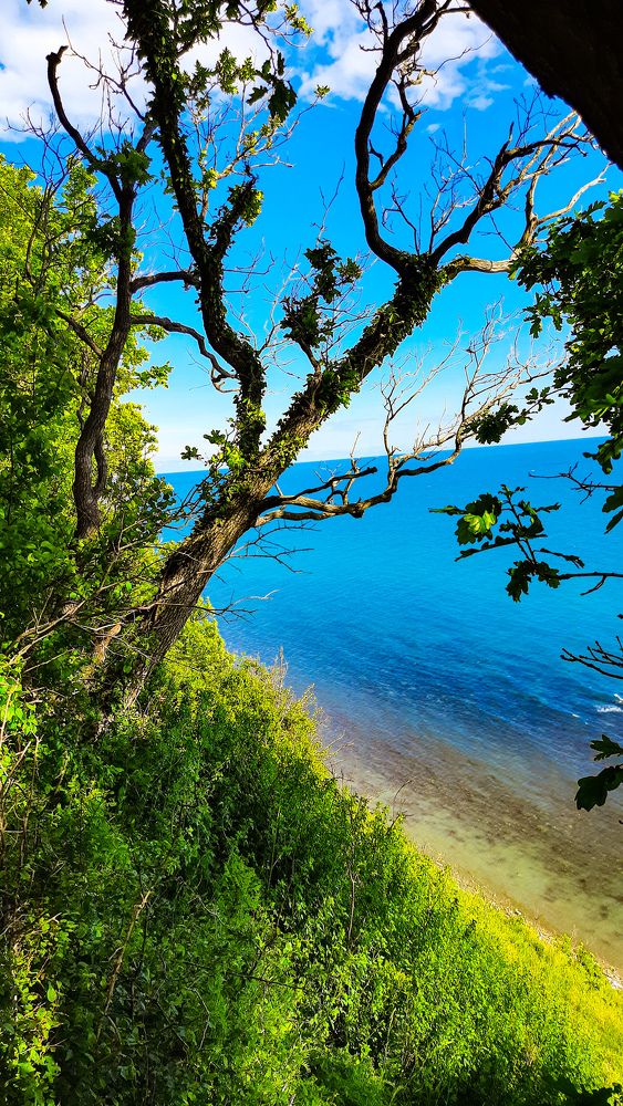 Photograph by Алексей Степанов