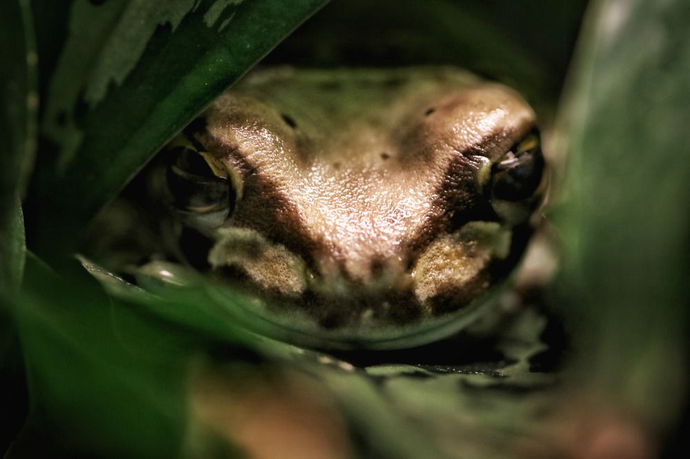 Photograph by Ирина Салминен