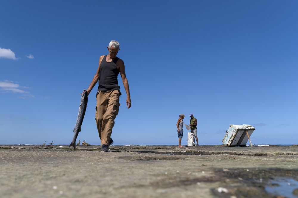 Photograph by Abel Cancino Gutierrez