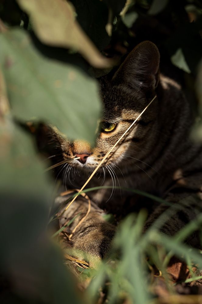 Photograph by Татьяна